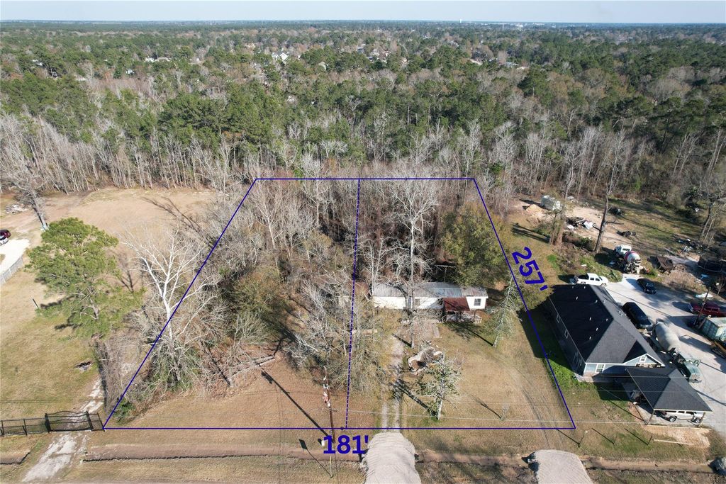 21171 Ferne Leaf Drive, Porter, TX 77365