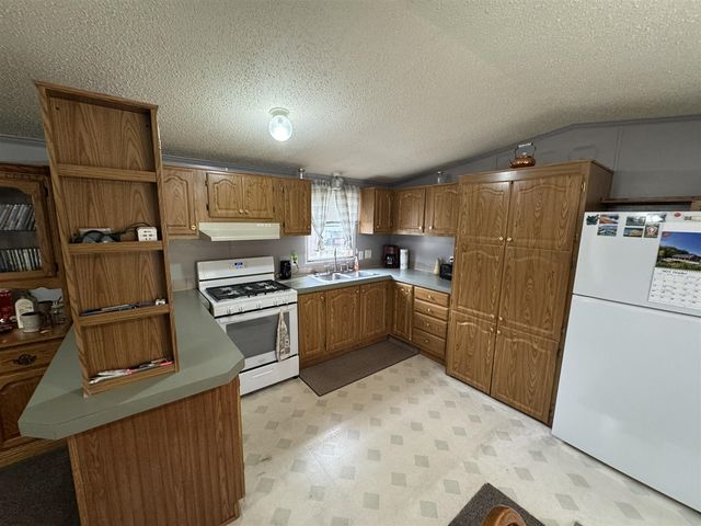 9609 N Irons Road, Irons, MI 49644