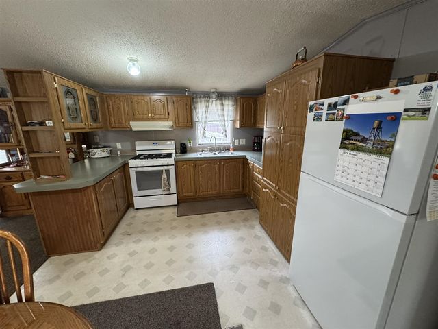 9609 N Irons Road, Irons, MI 49644