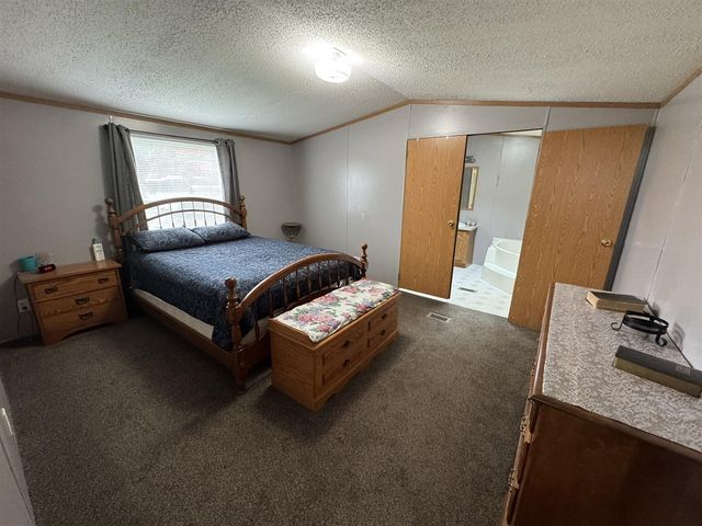 9609 N Irons Road, Irons, MI 49644