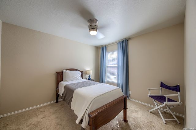 12731 Sand Holly, San Antonio, TX 78253