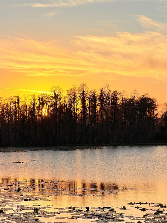 Image 23 of property listing at 643 HIGHGATE PARK BOULEVARD, Davenport, FL 33897