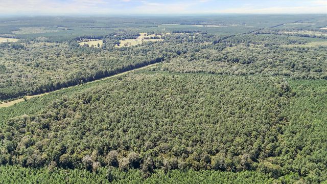 3904 Richardson Road E, Livingston, TX 77351