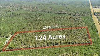 3904 Richardson Road E, Livingston, TX 77351