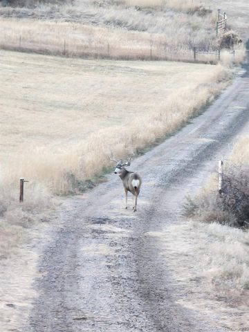 940 S County Road 29, Loveland, CO 80537