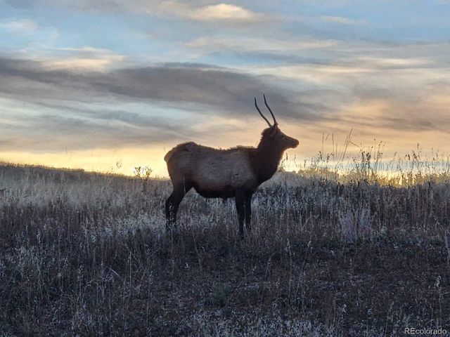 940 S County Road 29, Loveland, CO 80537