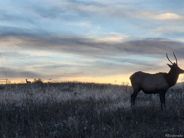 940 S County Road 29, Loveland, CO 80537