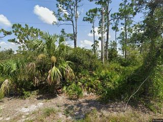 33438 Walnut Drive, Punta Gorda, FL 33982