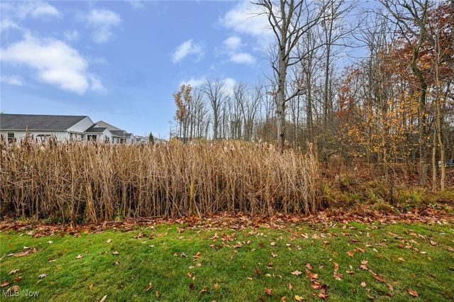 3784 Firethorn Drive, Aurora, OH 44202