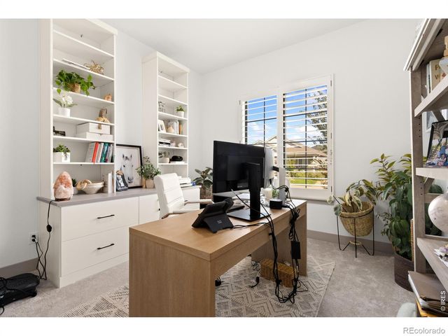 812 Canoe Birch Drive, Windsor, CO 80550
