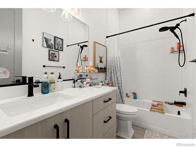 812 Canoe Birch Drive, Windsor, CO 80550