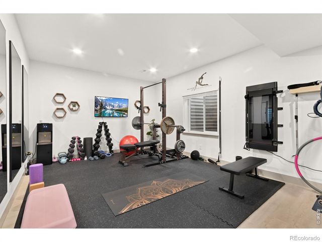 812 Canoe Birch Drive, Windsor, CO 80550