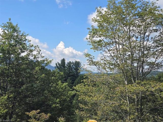 979 Wagon Road, Warrensville, NC 28693