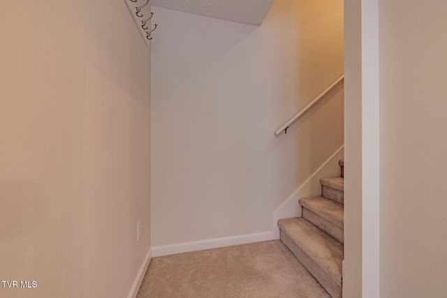 14 Province Drive, 14, Gray, TN 37615