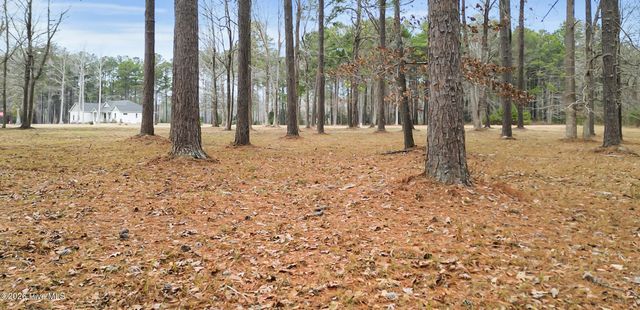 117 Southern Plantation Drive S, Oriental, NC 28571