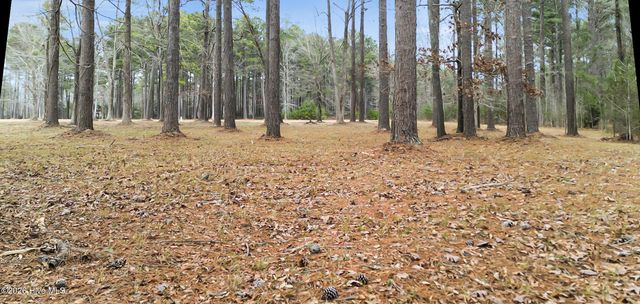 117 Southern Plantation Drive S, Oriental, NC 28571