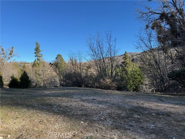 29373 Pine, Cedar Glen, CA 92321