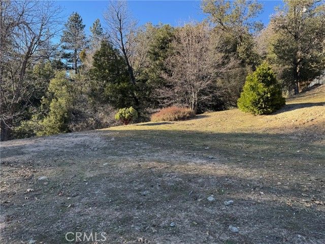 29373 Pine, Cedar Glen, CA 92321