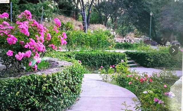 567 Oakland Ave. 101, Oakland, CA 94611