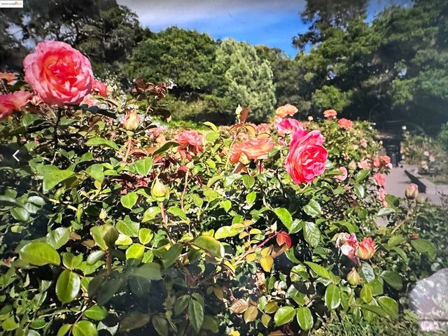 567 Oakland Ave. 101, Oakland, CA 94611