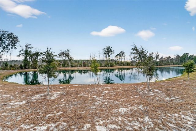 638 Logging Hill Drive, Richmond Hill, GA 31324