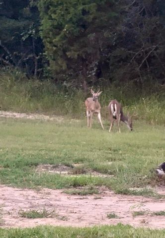 6954 Joyce Street, Eustace, TX 75124