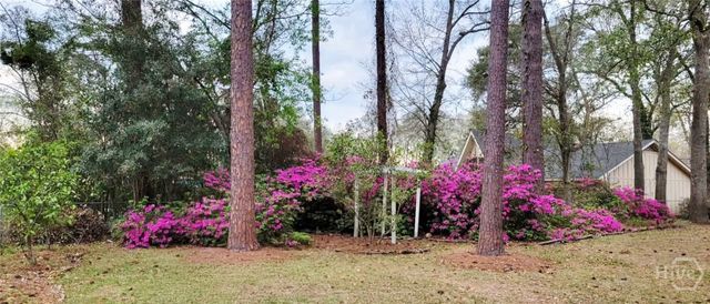100 Strathy Hall Drive, Richmond Hill, GA 31324
