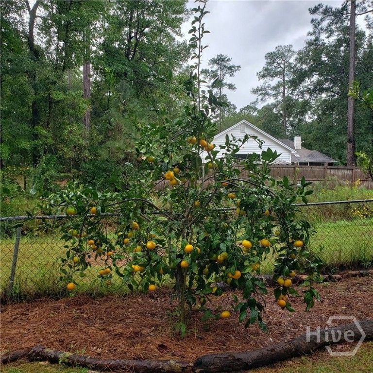 Image 42 of property listing at 100 Strathy Hall Drive, Richmond Hill, GA 31324