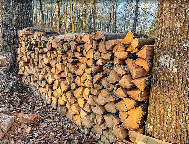 337 Hillcrest Road, Mammoth Spring, AR 72554