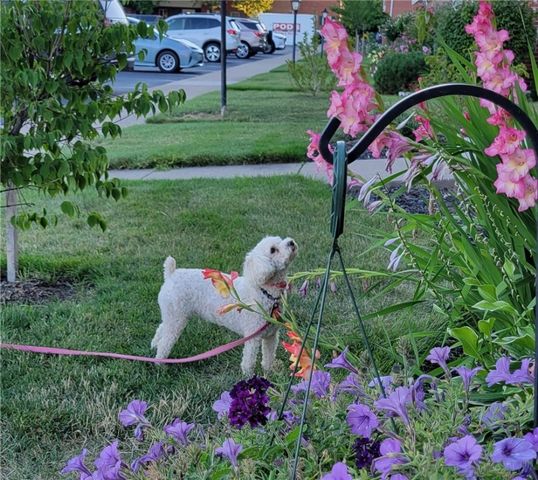 107 Holiday Harbour, Canandaigua City, NY 14424