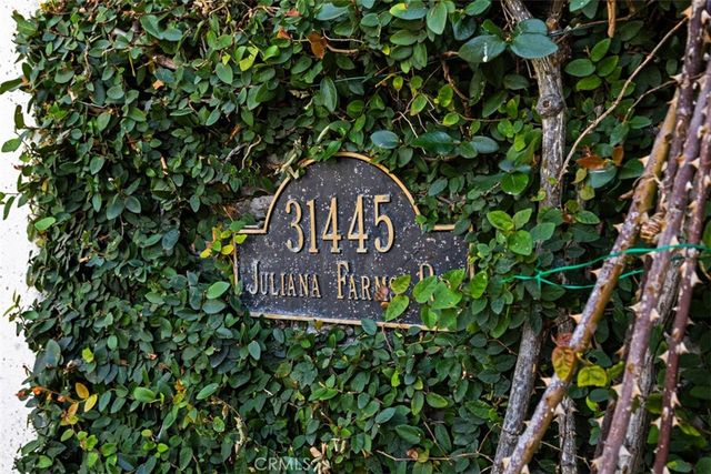 31445 Juliana Farms Road, San Juan Capistrano, CA 92675