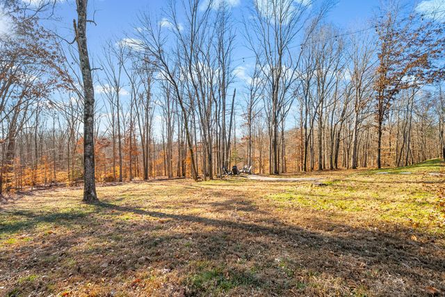 2862 Benton Ridge Rd, Palmyra, TN 37142