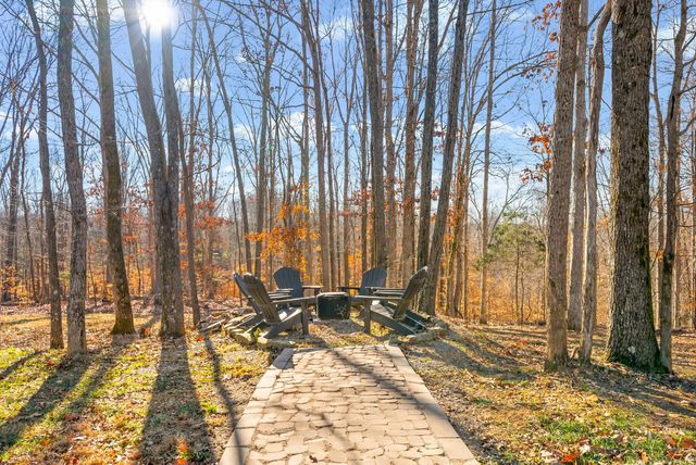 2862 Benton Ridge Rd, Palmyra, TN 37142