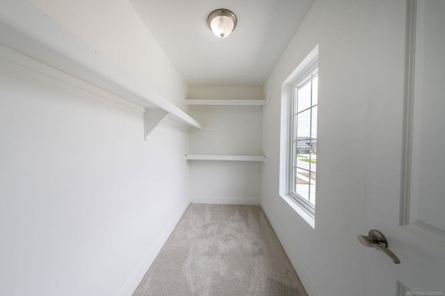 14686 Eleanor Drive, Sterling Heights, MI 48312