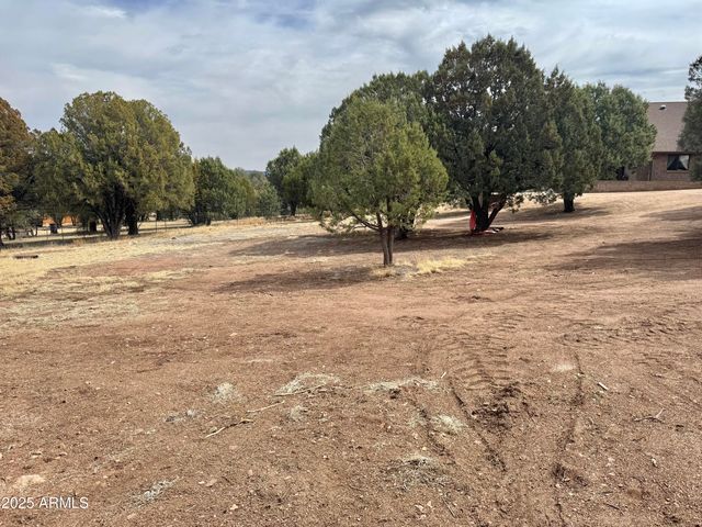 137 E HILLTOP Drive, Young, AZ 85554