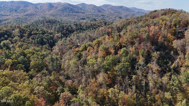 Tr 1 Canaan Road, Butler, TN 37640