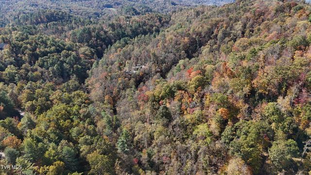 Tr 1 Canaan Road, Butler, TN 37640