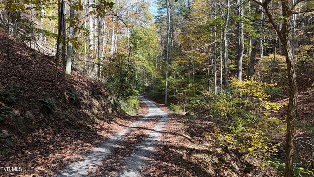 Tr 1 Canaan Road, Butler, TN 37640