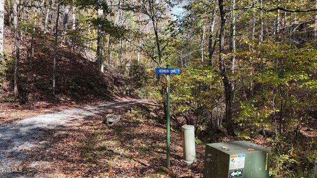 Tr 1 Canaan Road, Butler, TN 37640