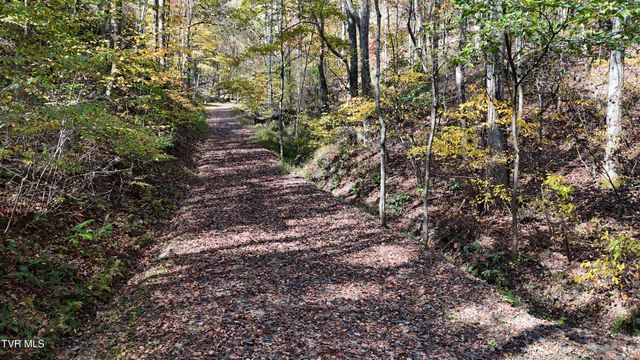 Tr 1 Canaan Road, Butler, TN 37640