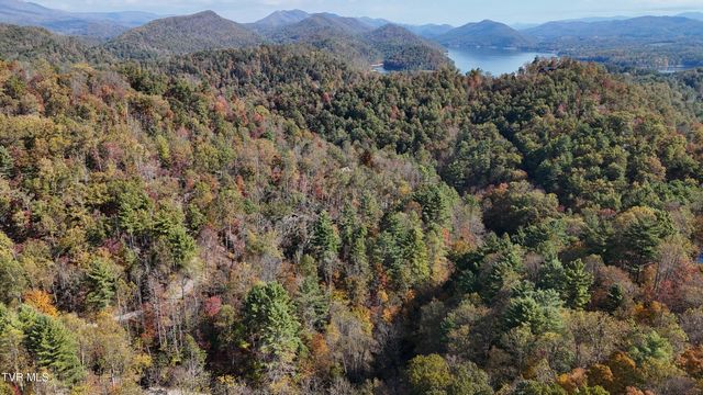 Tr 1 Canaan Road, Butler, TN 37640