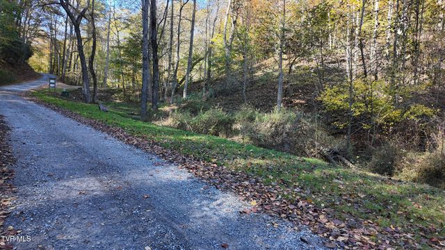 Tr 1 Canaan Road, Butler, TN 37640