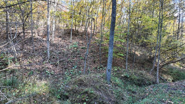 Tr 1 Canaan Road, Butler, TN 37640