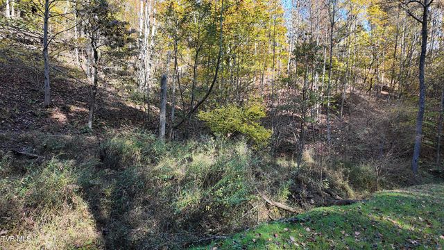 Tr 1 Canaan Road, Butler, TN 37640