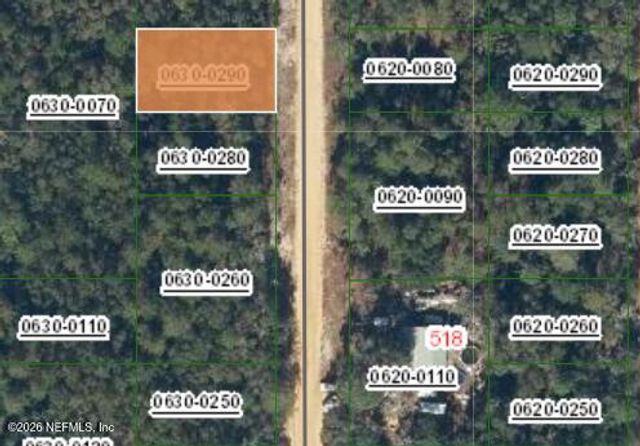 0 DAVID Avenue, Interlachen, FL 32148