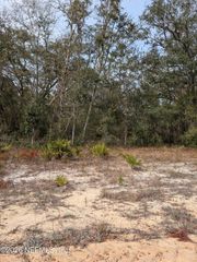 0 DAVID Avenue, Interlachen, FL 32148