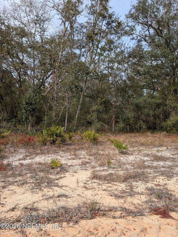 0 DAVID Avenue, Interlachen, FL 32148