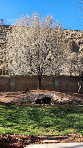 14341 Marquette Drive NE, Albuquerque, NM 87123