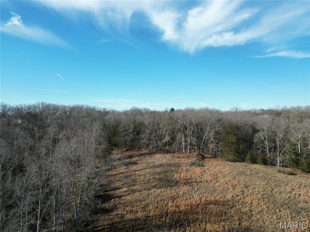 3136 Mill Hill Road, Lonedell, MO 63060