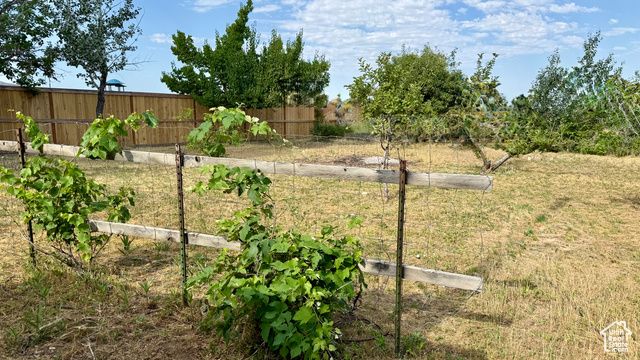 690 E 500 S, Fillmore, UT 84631